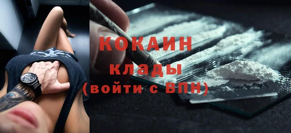 стаф Белокуриха