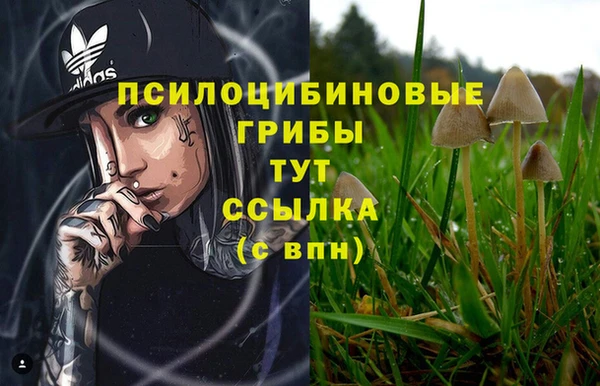 тгк Беломорск