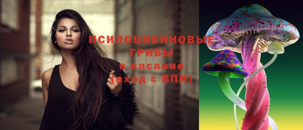 стаф Белокуриха