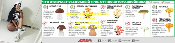 стаф Белокуриха
