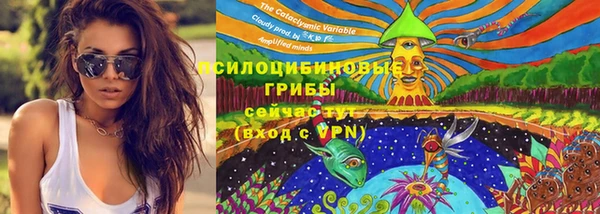 стаф Белокуриха