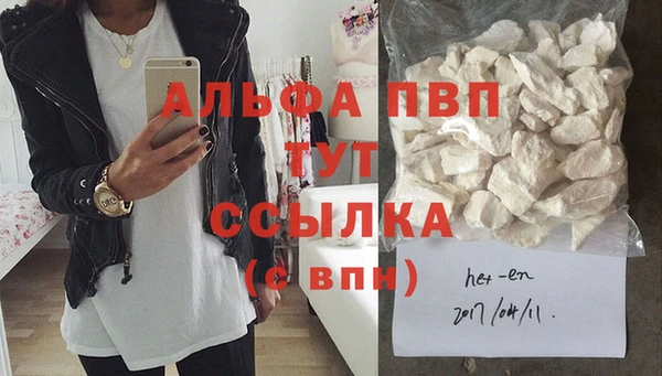 стаф Белокуриха
