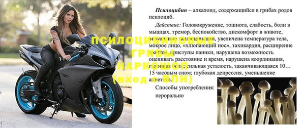 тгк Беломорск