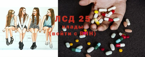 стаф Белокуриха